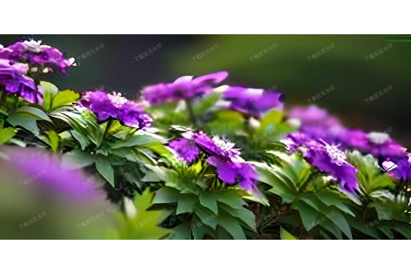 古韵杭州，颈腰舒展——传统按摩，现代体验”