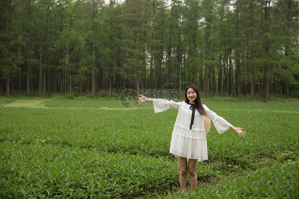 杭州盲按娘：舒适按摩，温馨约茶